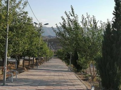 رئیس شورای شهر خاوران: ۲۰۰ اصله درخت در پارک شیخ احمدی می کاریم