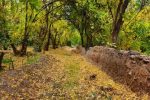 پاییزِ شهر من ….
