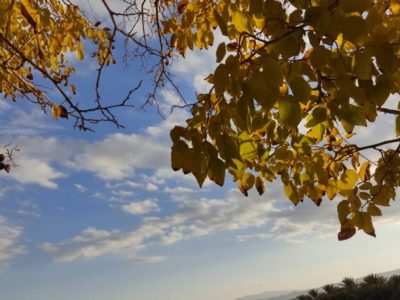 گزارش تصویری: گشت و گذاری در کوچه باغهای پاییزی خاوران