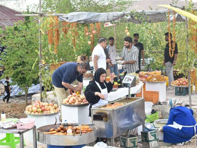 با برگزاری جشنواره مخالف نیستیم؛ حرف مان این است که شهرداری پول ندارد!