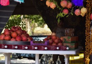 دعوت شورای شهر از مردم برای مشارکت در برگزاری هفتمین جشنوارۀ انار و خرمای خاوران