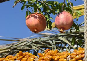جشنواره انار و خرمای خاوران چگونه می تواند به یک رویداد خودگردان، درآمدزا و اثرگذار تبدیل شود؟