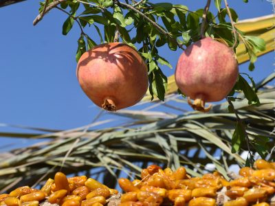 جشنواره انار و خرمای خاوران چگونه می تواند به یک رویداد خودگردان، درآمدزا و اثرگذار تبدیل شود؟
